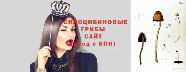 mdpv Белокуриха