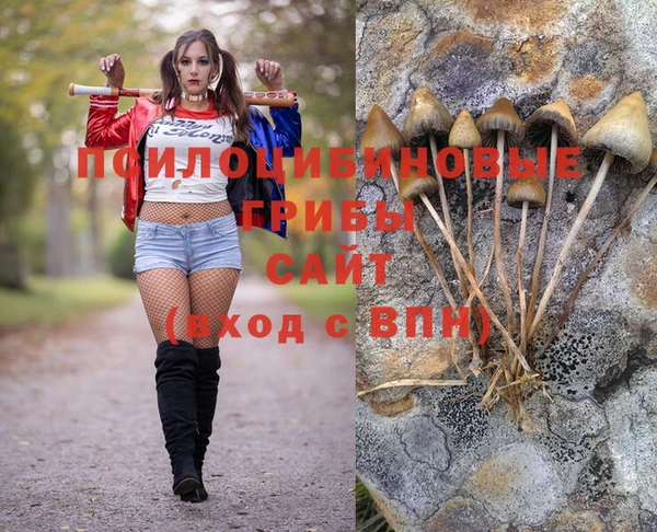спайс Беломорск