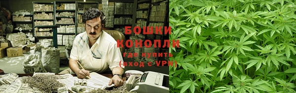 mdpv Белокуриха
